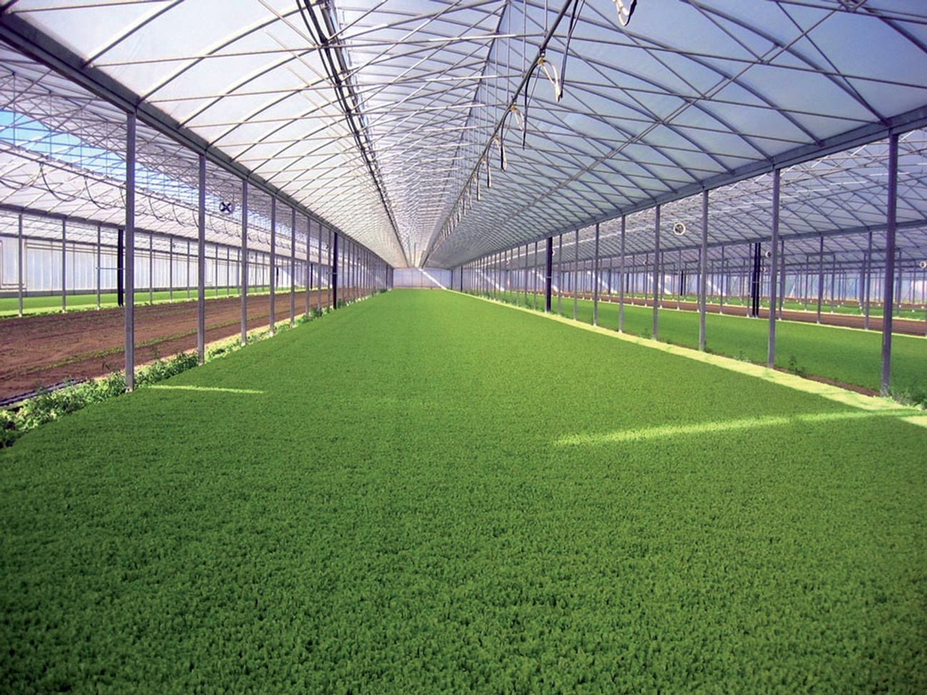 Benefits of Polycarbonate Panels for Agriculture