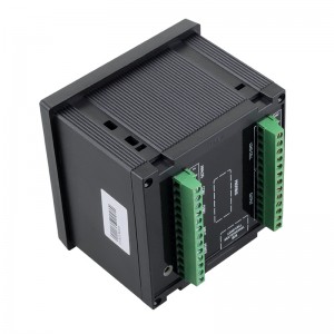 DT85 Multi-Channel Weighting Controller Panel Mount