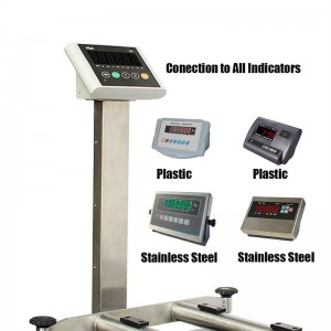 LR&LRQ Electronic Steel Platform Scale