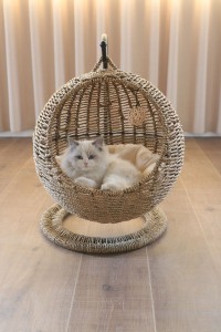 CB02 Seagrass Cat Bed
