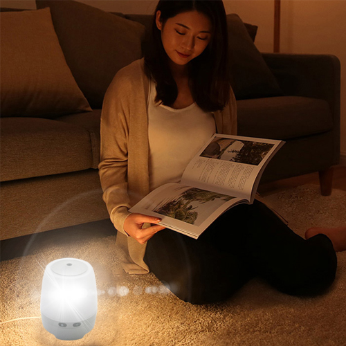 120lumens 2 in 1 night light with humidifier L21151
