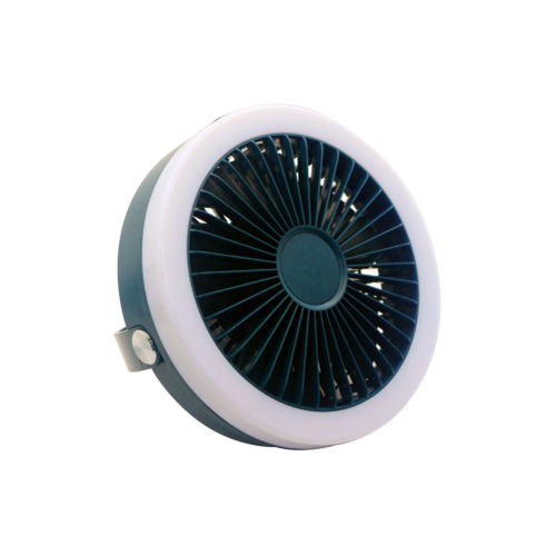 Rechargeable fan with light, with remote control