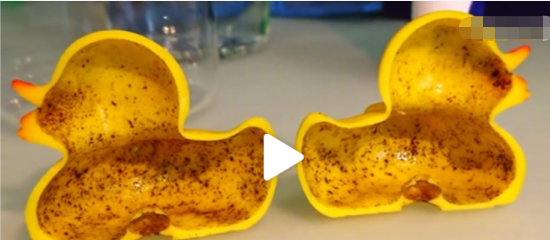 The yellow duck toy can be a murder of children！How to deal with the bacteria in the toys?