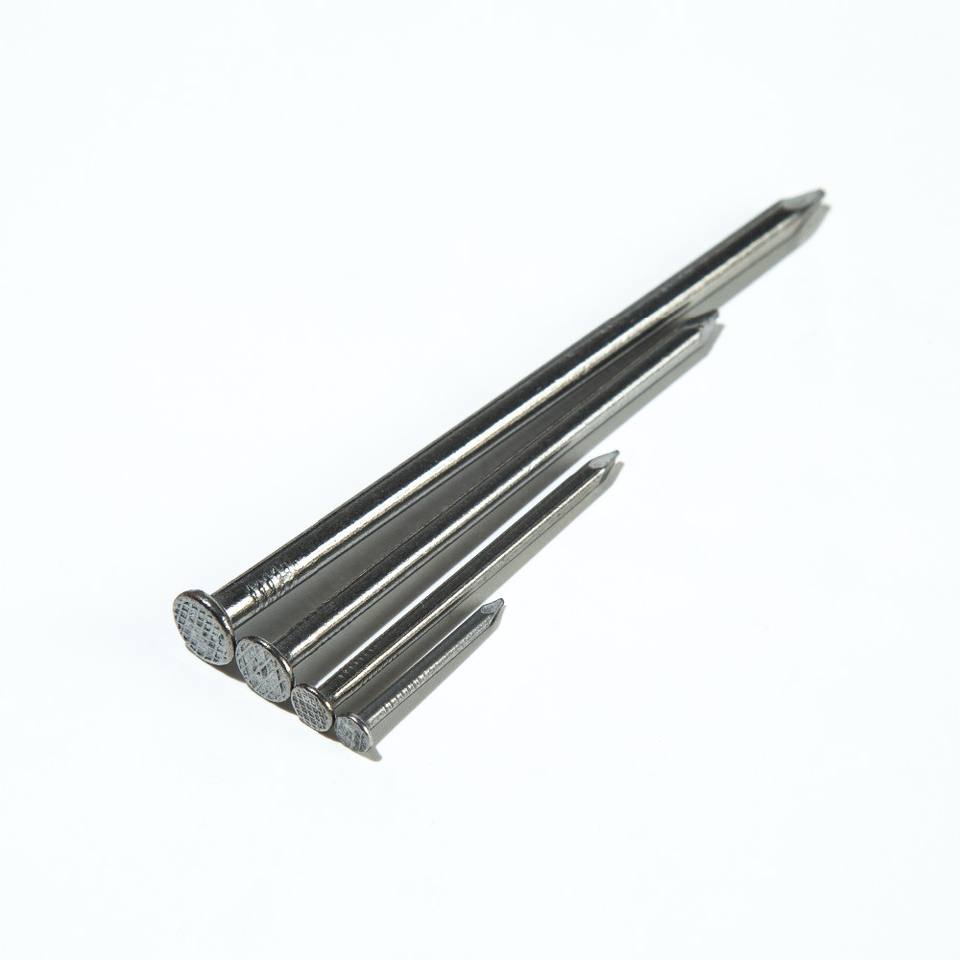 Polished round head iron common wire nails smooth shank metal nails steel nails Featured Image