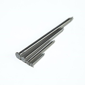 Polished Round Head Nails Common Wire Nails Metal Nails Steel Nails