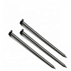 Polished round head iron common wire nails smooth shank metal nails steel nails