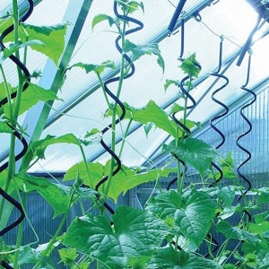 Tomato Spiral Stakes Plant Support Stakes