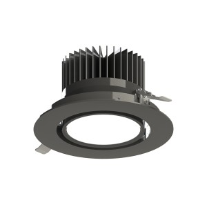 Large Downlight Changeable beam angles