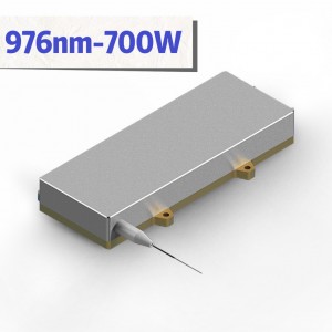 High reputation 1w laser diode - 700W High Power Fiber Coupled Diode Laser with 976nm – BWT