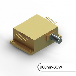 Good Wholesale Vendors 200w laser diode - 980nm-30W Function Detachable Diode Laser Fiber coupled diode laser – BWT