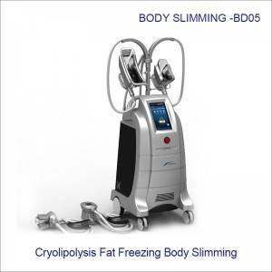 4 handles coolsculpting cryolipolysis Fat Freezing Slimming weight loss device  BD05