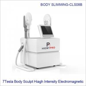 Hi-EMT Weight Loss Electromagnetic Slim Hip Deep Muscle Massager Beauty Fat Removal EMS Sculpt Machine CLS08B