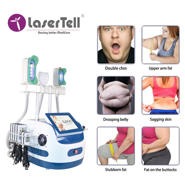 Popular Design for Emsculpt Equipment - Painless 650nm Cryolipolysis Body Slimming Machine For Fat Freezing – LaserTell