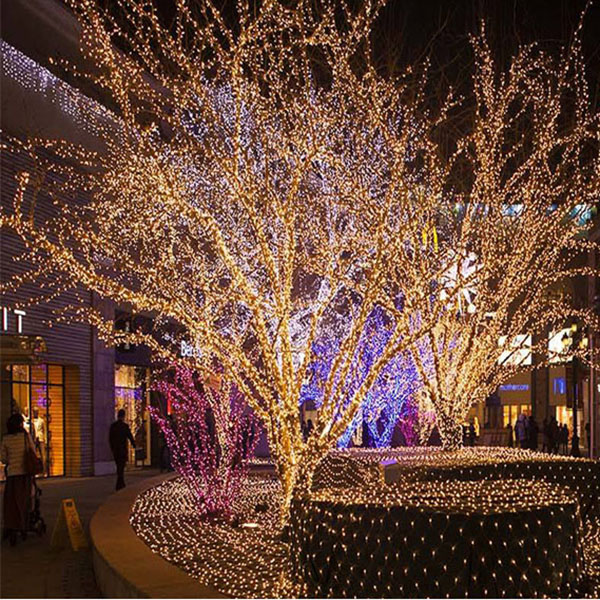 OEM/ODM China Toy Drone - LED Christmas lights,Solar lamp,Promotional lights – Laviya