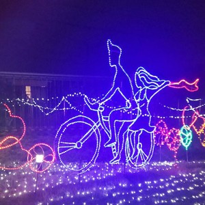 Chinese wholesale Big Drones - LED light strip,Festival decorative lights – Laviya