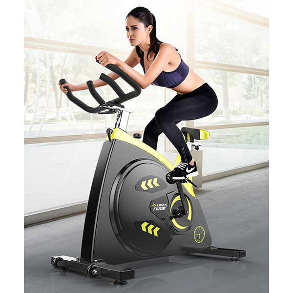 China wholesale Healthy Belly Wheel - Exercise bike,Fitness Equipment – Laviya