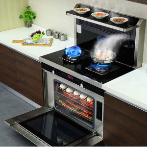 OEM/ODM China Door Closer With Track - Integrated stove & oven,Stainless steel  cabinet Integrated kitchen  – Laviya