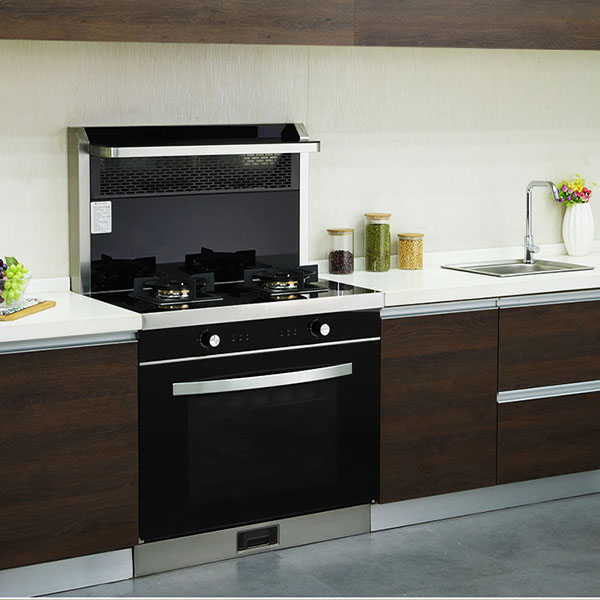 Factory wholesale Stoves Range Cooker - Integrated stove & cupboard,Stainless steel  cabinet Integrated kitchen  – Laviya