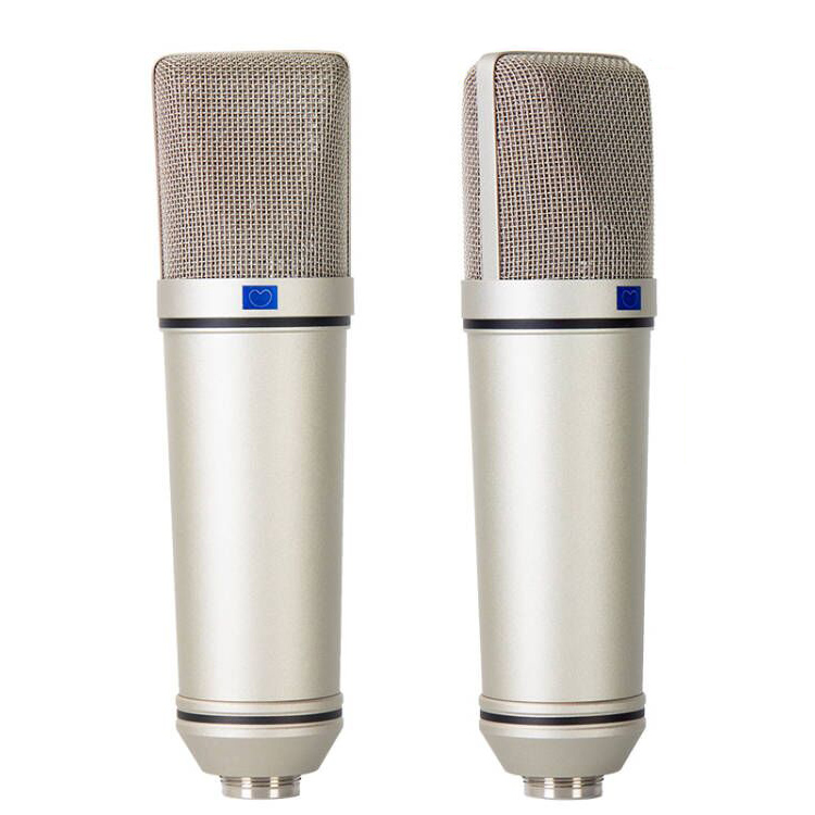 Professional Recording microphone1