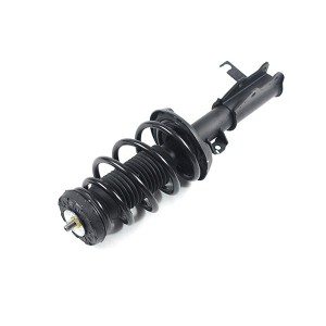 Car Shock Absorber and Coil Spring Assembly for Buick LaCrosse Allure AWD 2010-2016