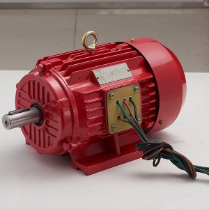 Bottom price Asynchronous Motor As Generator - Three-phase asynchronous motor for pipeline pump – Leadrive