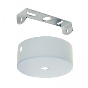 Disc Base Ceiling Canopy Ceiling Light ဆက်စပ်ပစ္စည်းများ