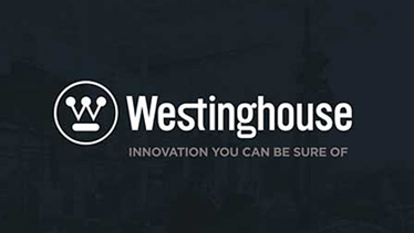 Cooperated with Westinghouse in the United States