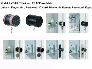 China Gold Supplier for Smart Digital Password Smart Lock with Tthotel APP Code RFID Card Unlocking for Hotel Doors