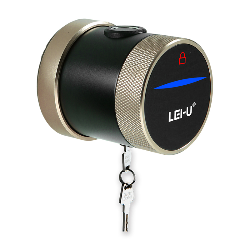 China wholesale Double Cylinder Smart Lock - LVD-07S Tuya – Leiyu