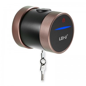 LVD-07S Keyless Lock