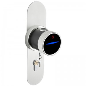 2019 New Style China Best Electronic Smart Keyless Door Locks with Card Remote Control Key for Smart Entry