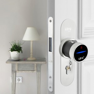 2019 New Style China Best Electronic Smart Keyless Door Locks with Card Remote Control Key for Smart Entry