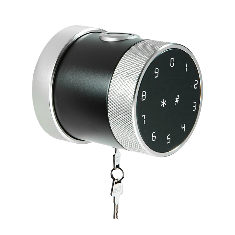 2021 High quality Smart Door Lock Cylinder - Touchscreen Keypad Lock – Leiyu