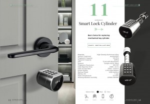 LVD-11 Europe Standard Smart Lock Cylinder Suit for Any Type Decoration