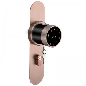 Free sample for China Factory Direct Indoor Door Password Lock Full Touch Screen Electronic Induction Password Smart Lock
