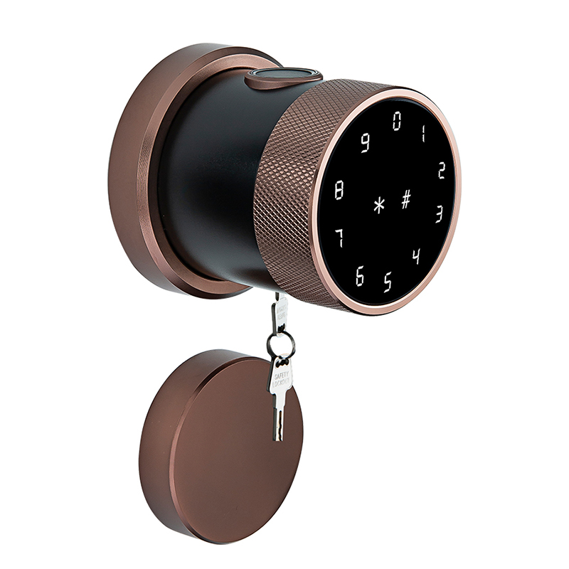 Hot New Products Single Cylinder Smart Lock – LVD-06MFE – Leiyu