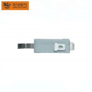 Lema Factory Supply Micro Switch Long Arm 187 Quick Connect Terminal Grey Home Appliance Switch Kw7-97h with CQC Approval