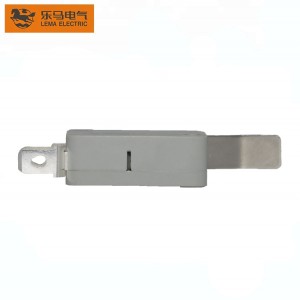 Lema Brand Switch Grey Long Lever Side Common Terminal KW7-1I2F