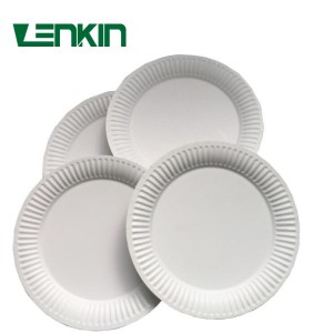 Party Supplies Paper Plates
