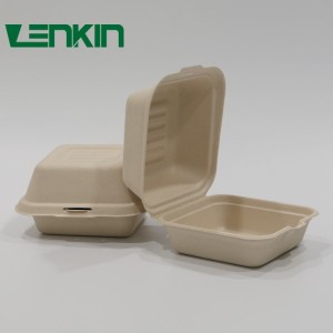 Compostable Sugarcane Bagasse Lunch Box