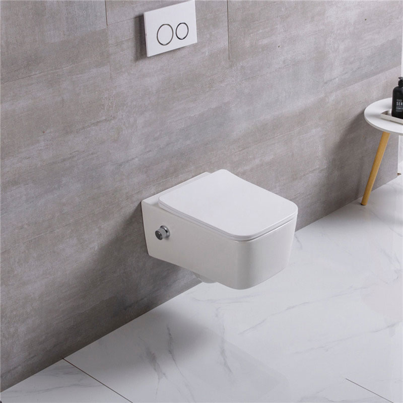 European Style Wall Hung WC Concealed Cistern Bidet Toilet Rimless Bidet Attachment Toilet