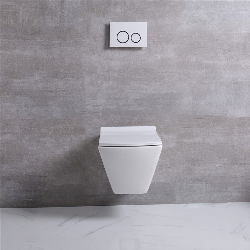 European style wall hung bowl with hidden water tank square design toilet rimless