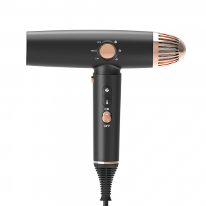 LS-082A Professional Brushless Hair Dryer Negative Ion Hot Cold Air Blow Dryer Intelligent BLDC Hairdryer 3 Speed 1600W