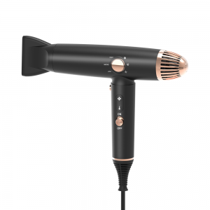 LS-082A Fast Drying High Speed Hotel Heater Ionic Blower Hairdryer Portable Salon Blow Super Professional Negative Ion Hair Dryer 100 – 999 pieces