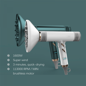 LS-085B High Speed Hair Dryer Fashionable High-end Home Portable Leafless Brushless Negative Ion Hair Dryer For Fast Drying