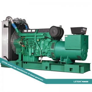 China wholesale Diesel Genset - Wudong Engine diesel generator set – Leton