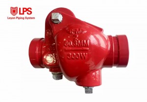 Fire Fighting Grooved Riser Check valve