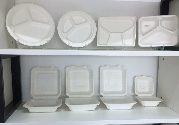 Types of Disposable Lunch Boxes