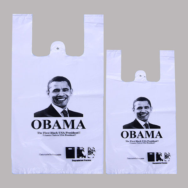 Factory wholesale Eco Friendly Shopping Bags - printed supermarket bag – LGLPAK