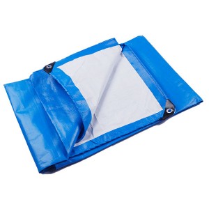 Factory Price For China 10*12FT Heavy Duty Reinforced Waterproof PE Tarpaulin for Cover